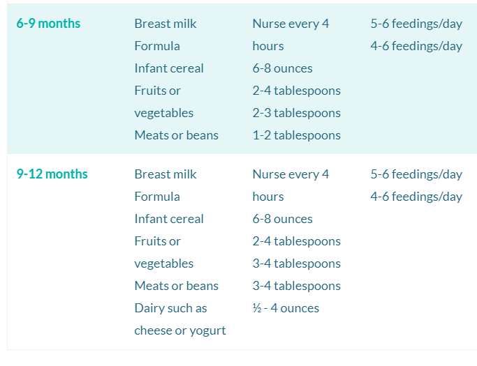 Newborn and Baby Feeding Schedule for 6-9 Months Old